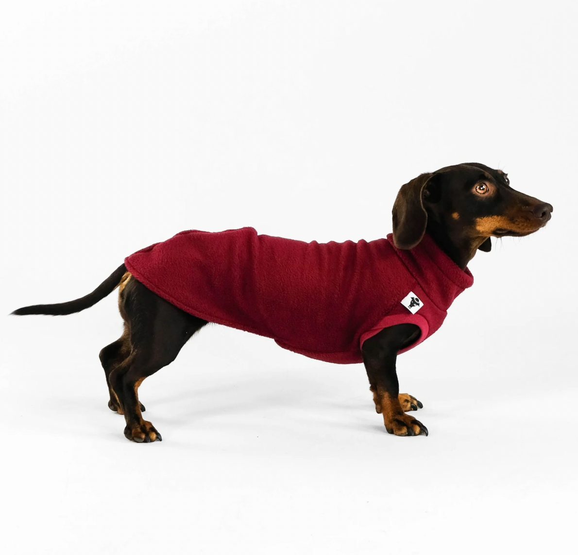 Pull polaire bordeaux pour teckel