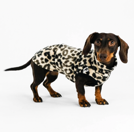 Leopard print fleece sweater for dachshund