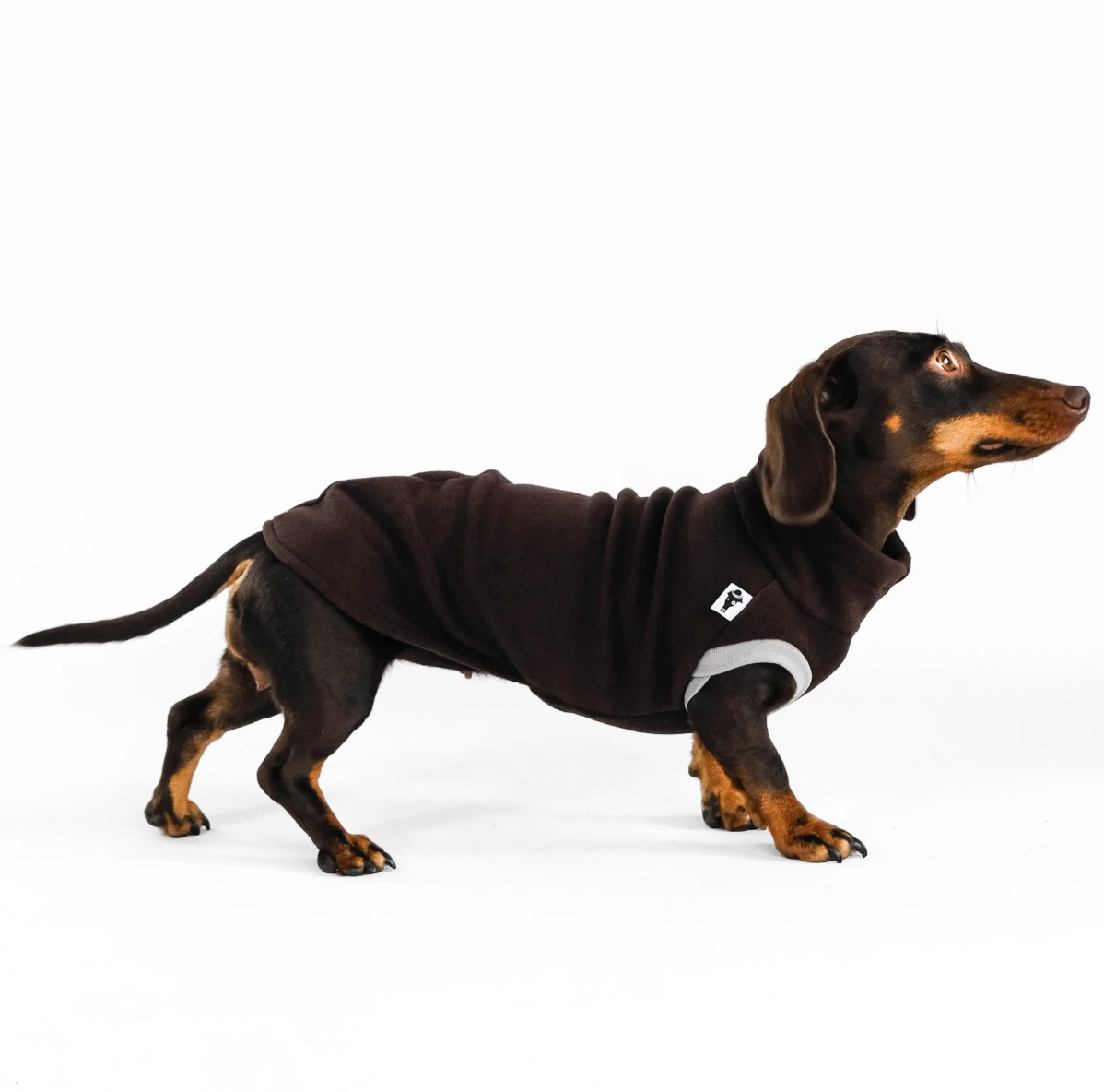 Pull polaire marron pour teckel