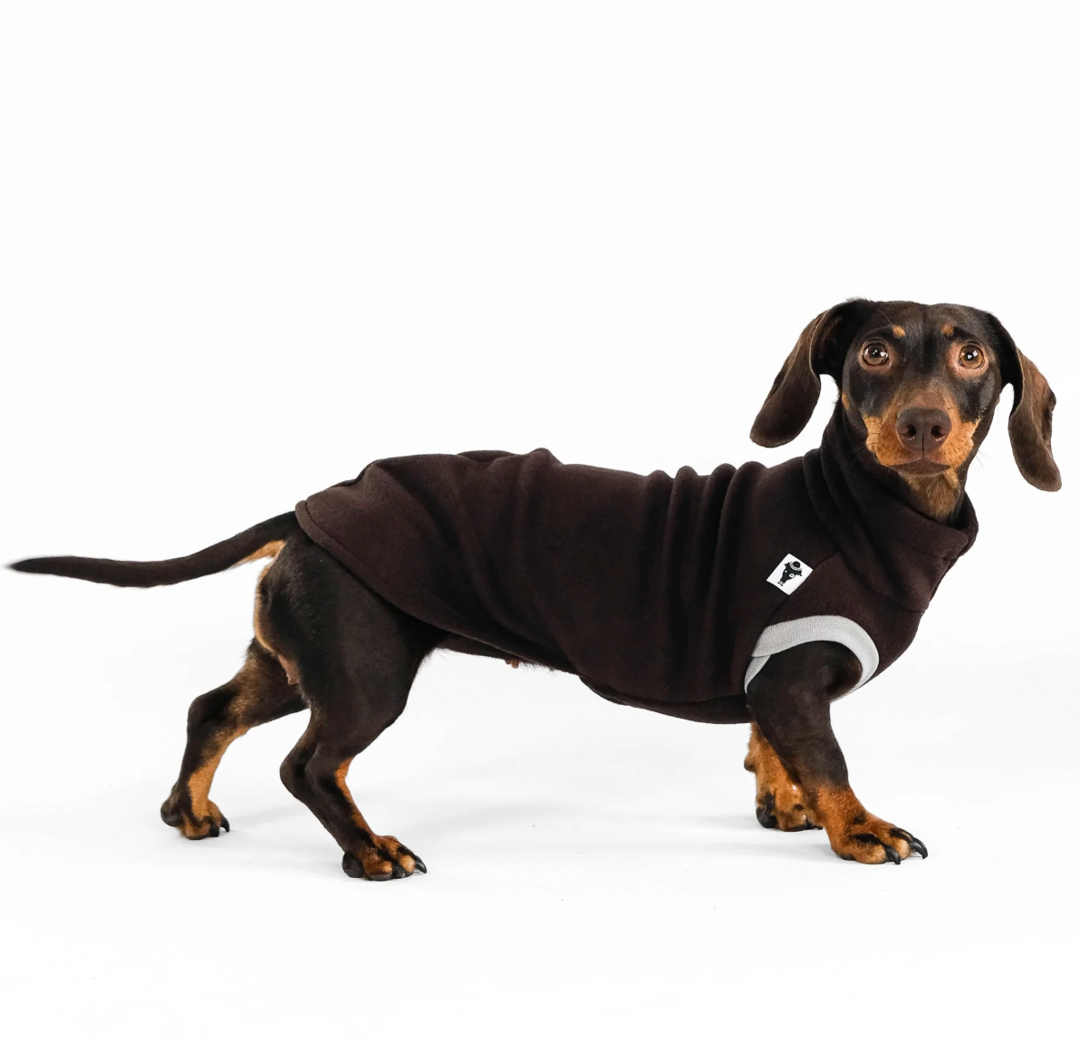 Pull polaire marron pour teckel