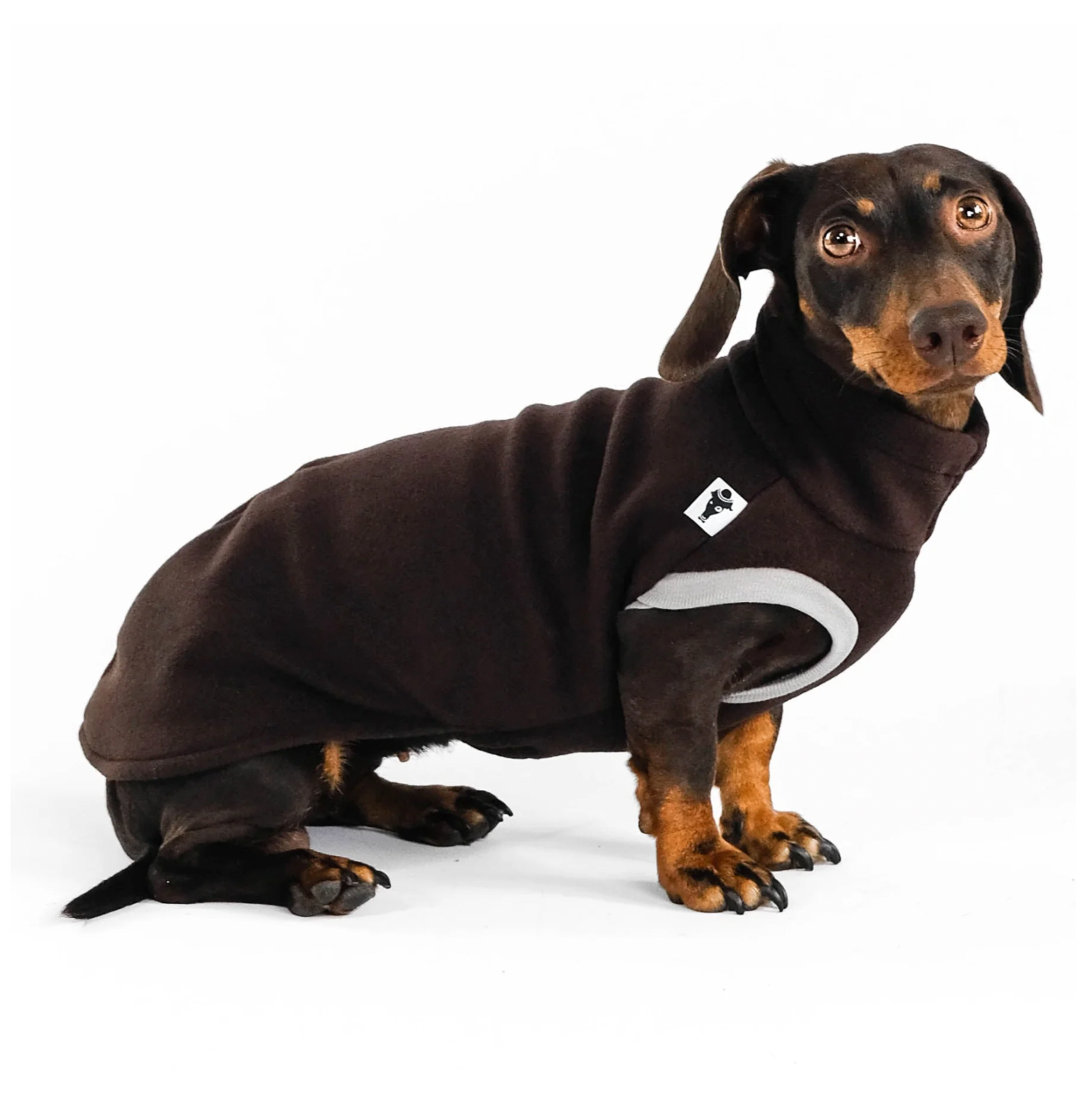 Pull polaire marron pour teckel