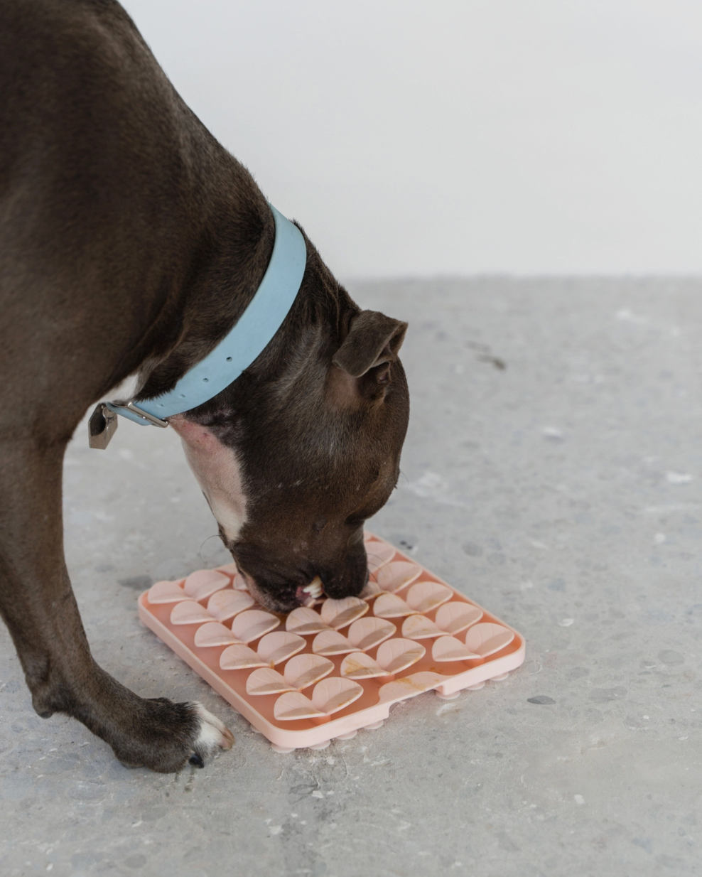 Tapis de léchage rose clair