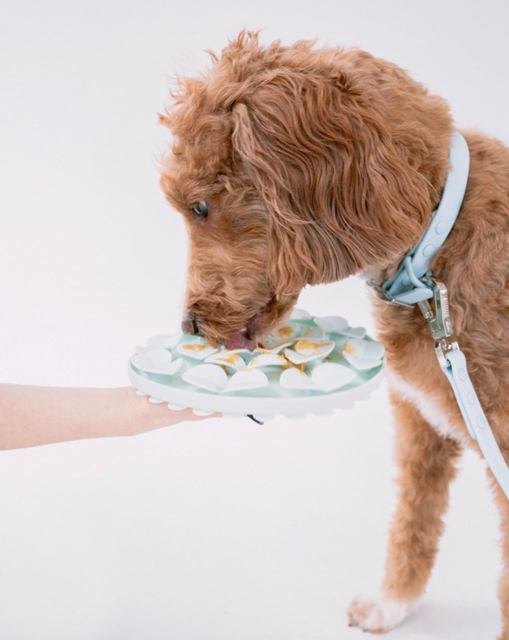 Tapis de léchage pétales bleu