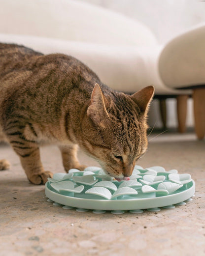 Tapis de léchage pétales bleu