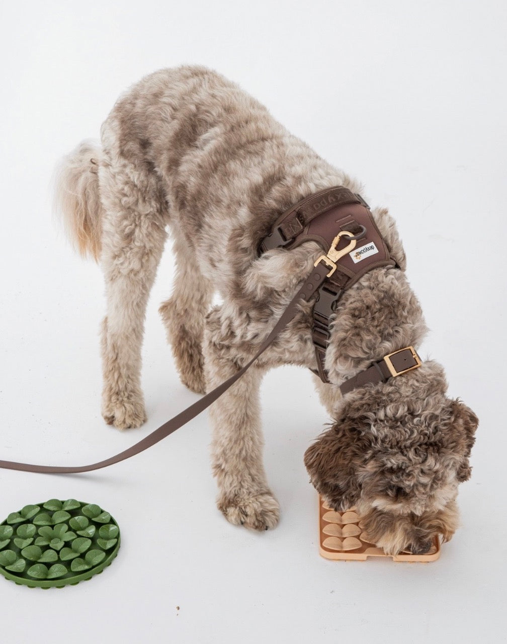 Tapis de léchage pétales vert