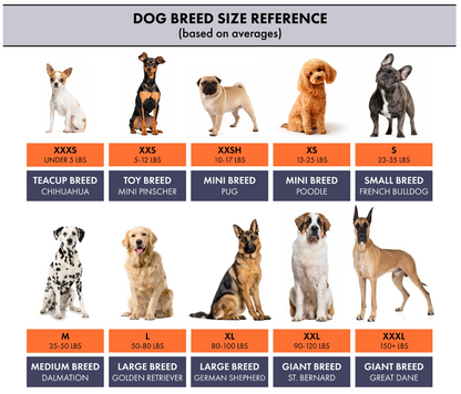 Dog shoes