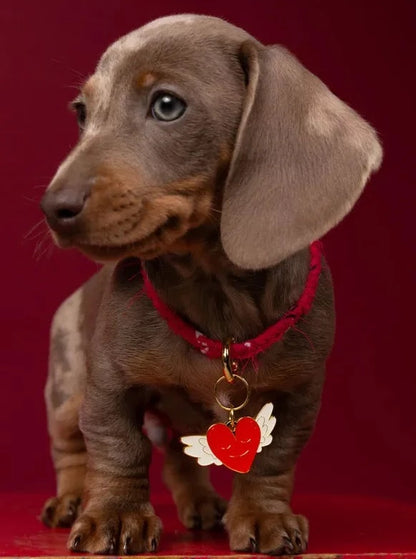 médaille-chien-gravure-bordeaux-nugget