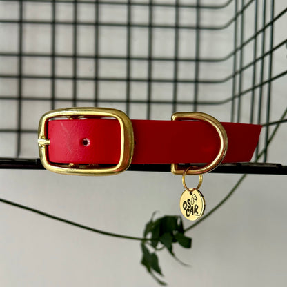 collier rouge biothane