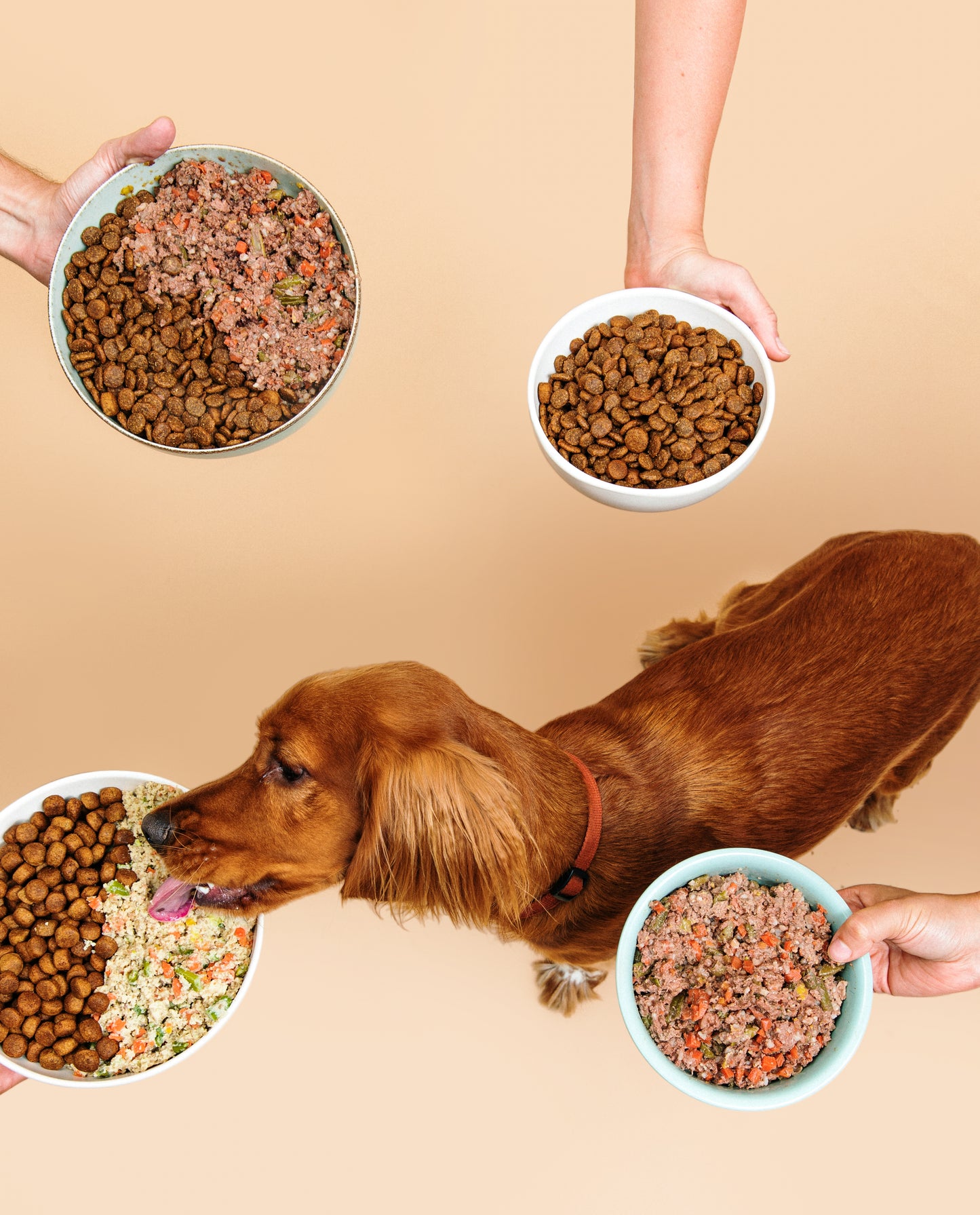 Boudins DogChef - rations ménagères