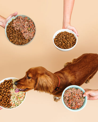 Boudins DogChef - rations ménagères