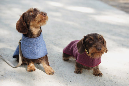 Manteau en laine Bordeaux pour chien
