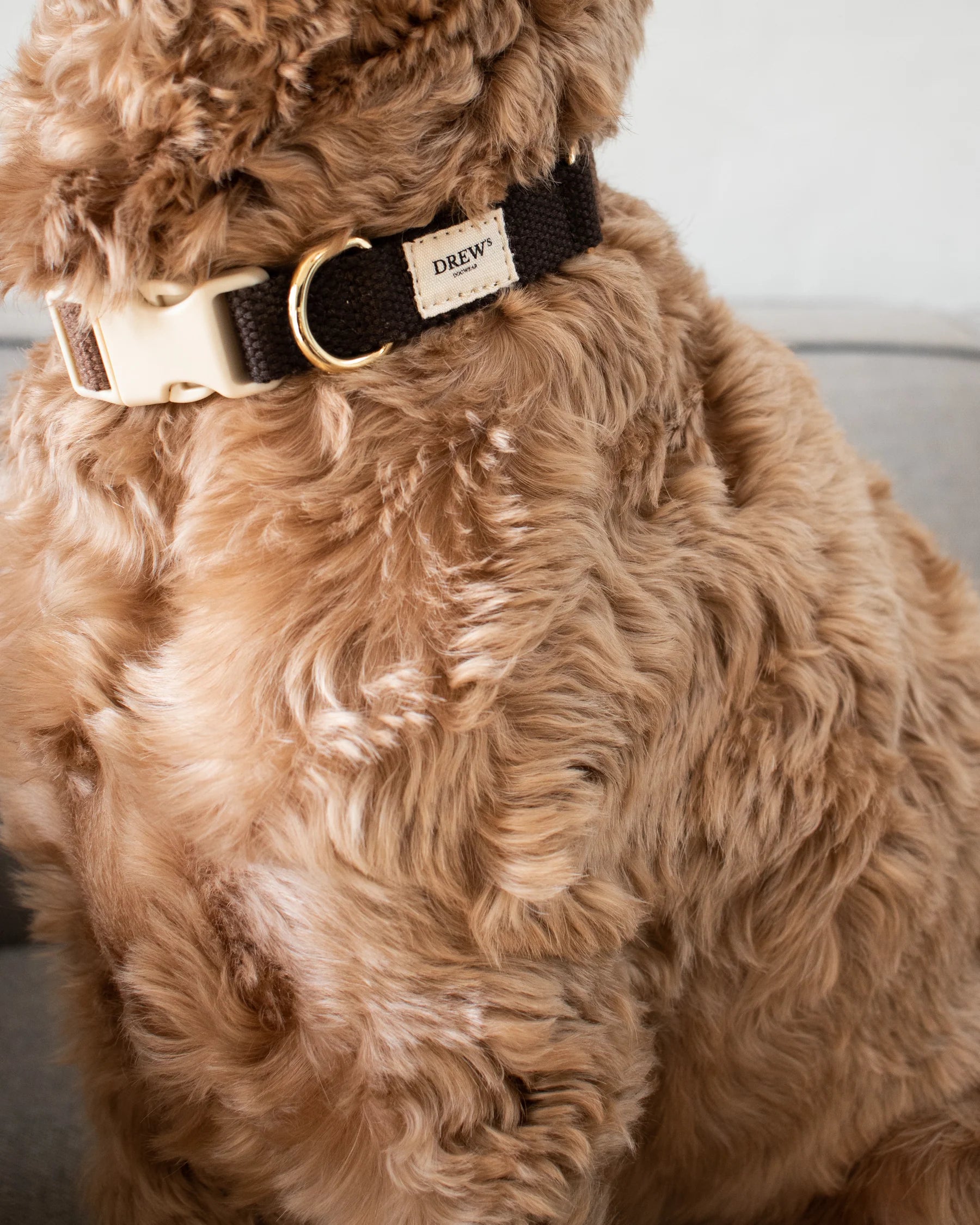 Collier-chien-marron-nugget-bordeaux-canin