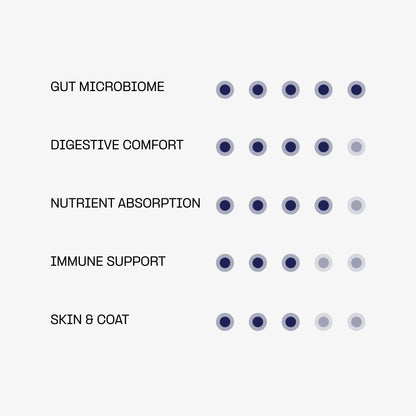 Complément Digestion