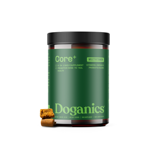 Complément Multivitaminé