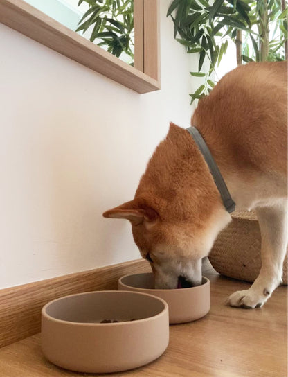 Beige dog bowl