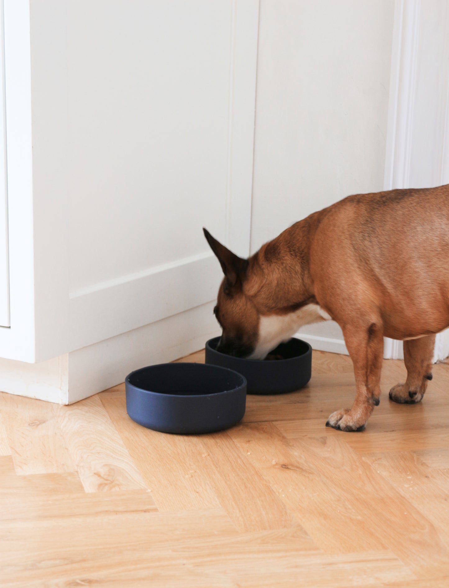 Dark Grey Dog Bowl