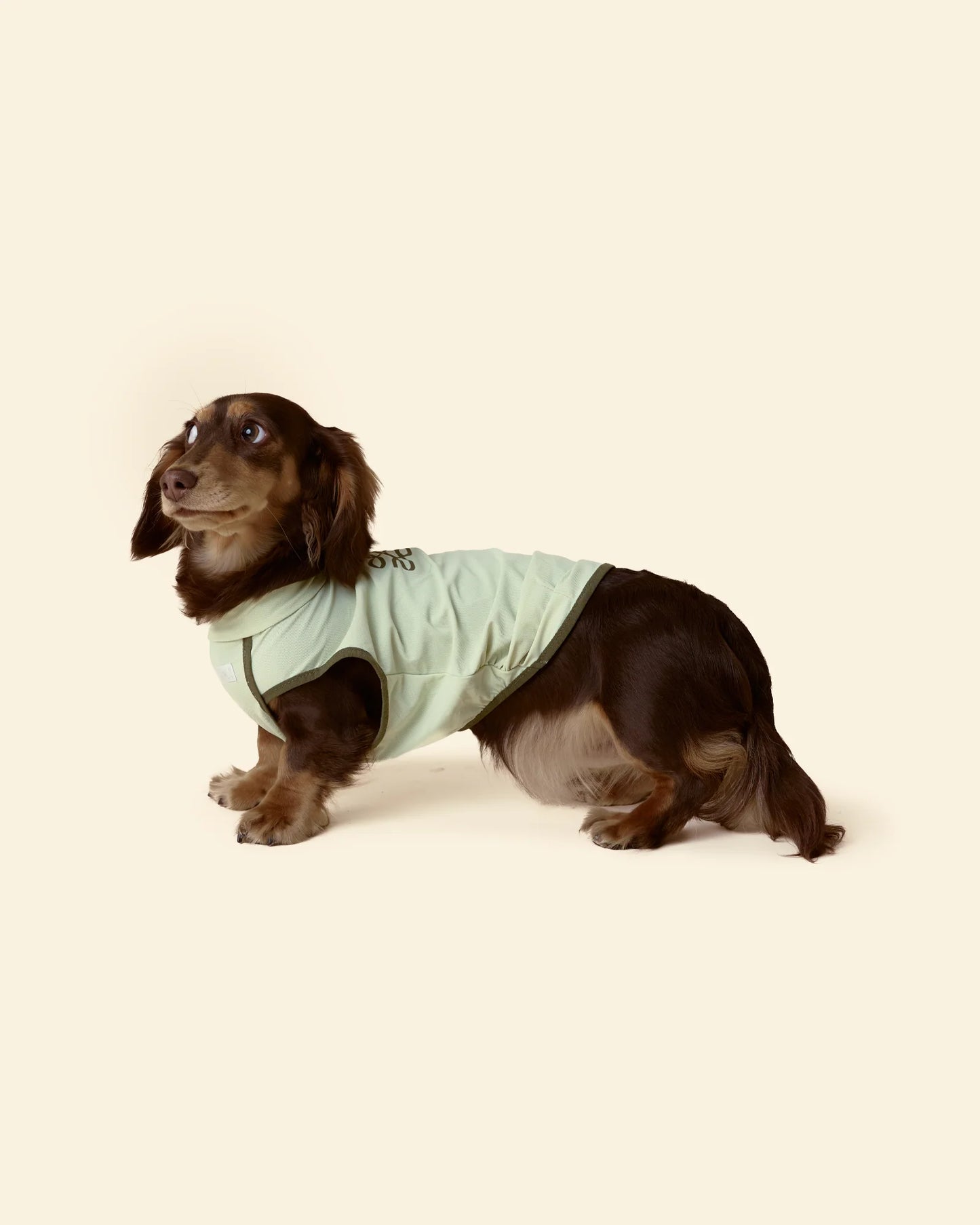 T-shirt rafraîchissant anti-UV – Matcha Green