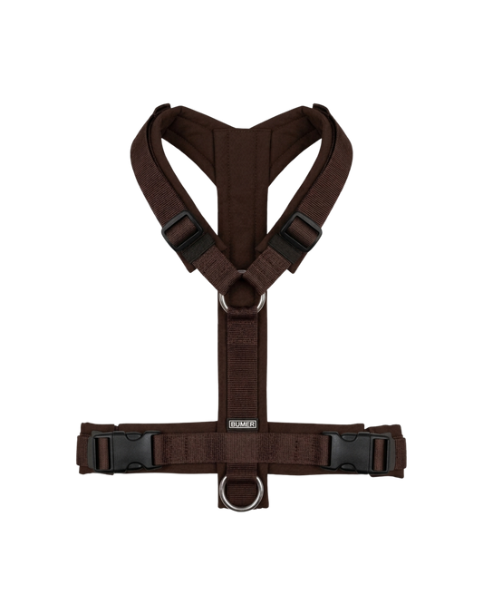 Chocolate harness