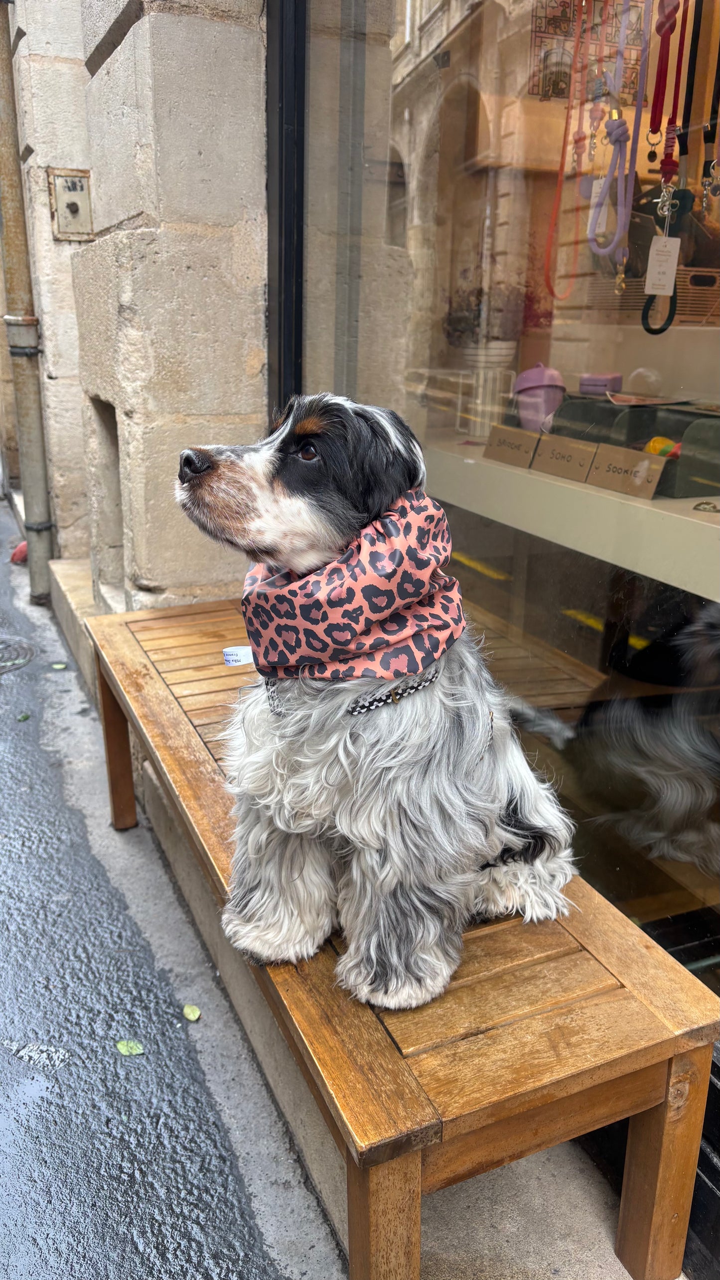 Snood imperméable Léopard Corail