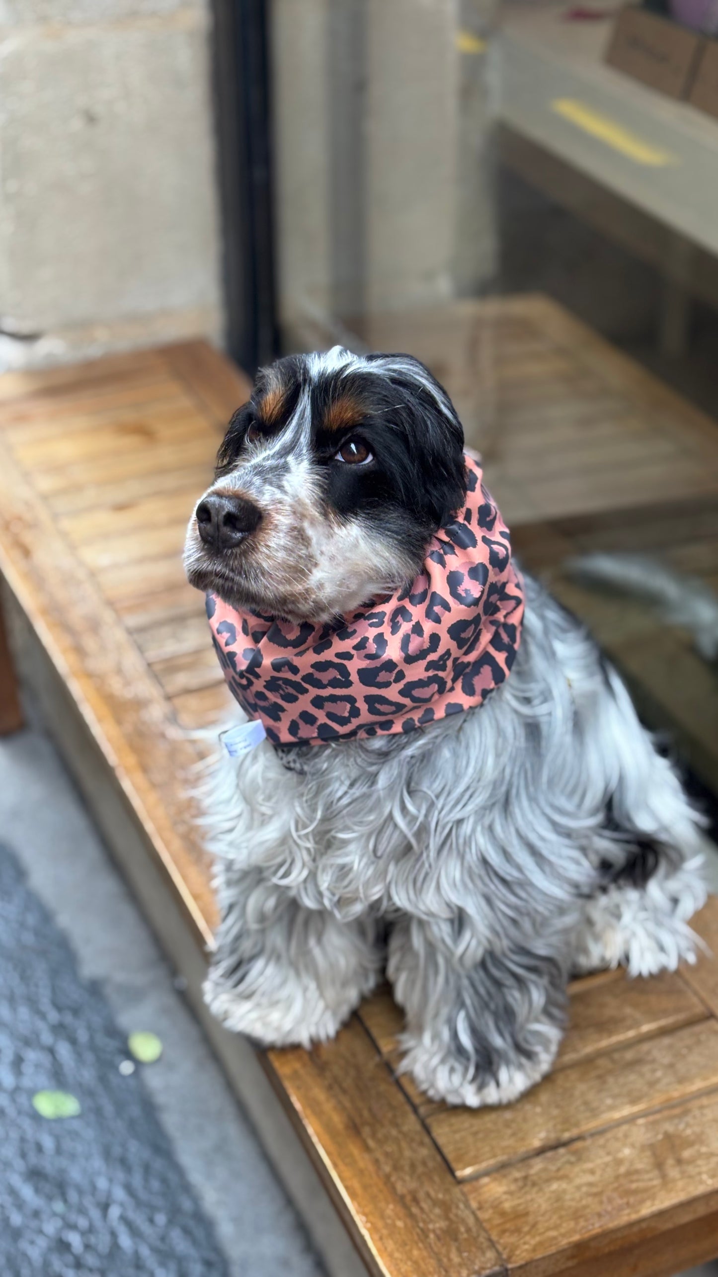 Snood imperméable Léopard Corail