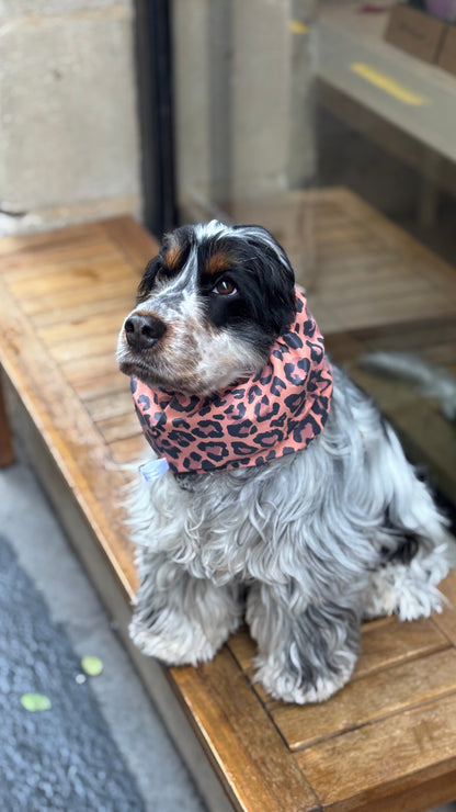 Snood imperméable Léopard Corail