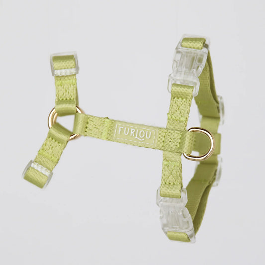 Harness - Lime Green