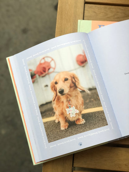 Book about dachshunds