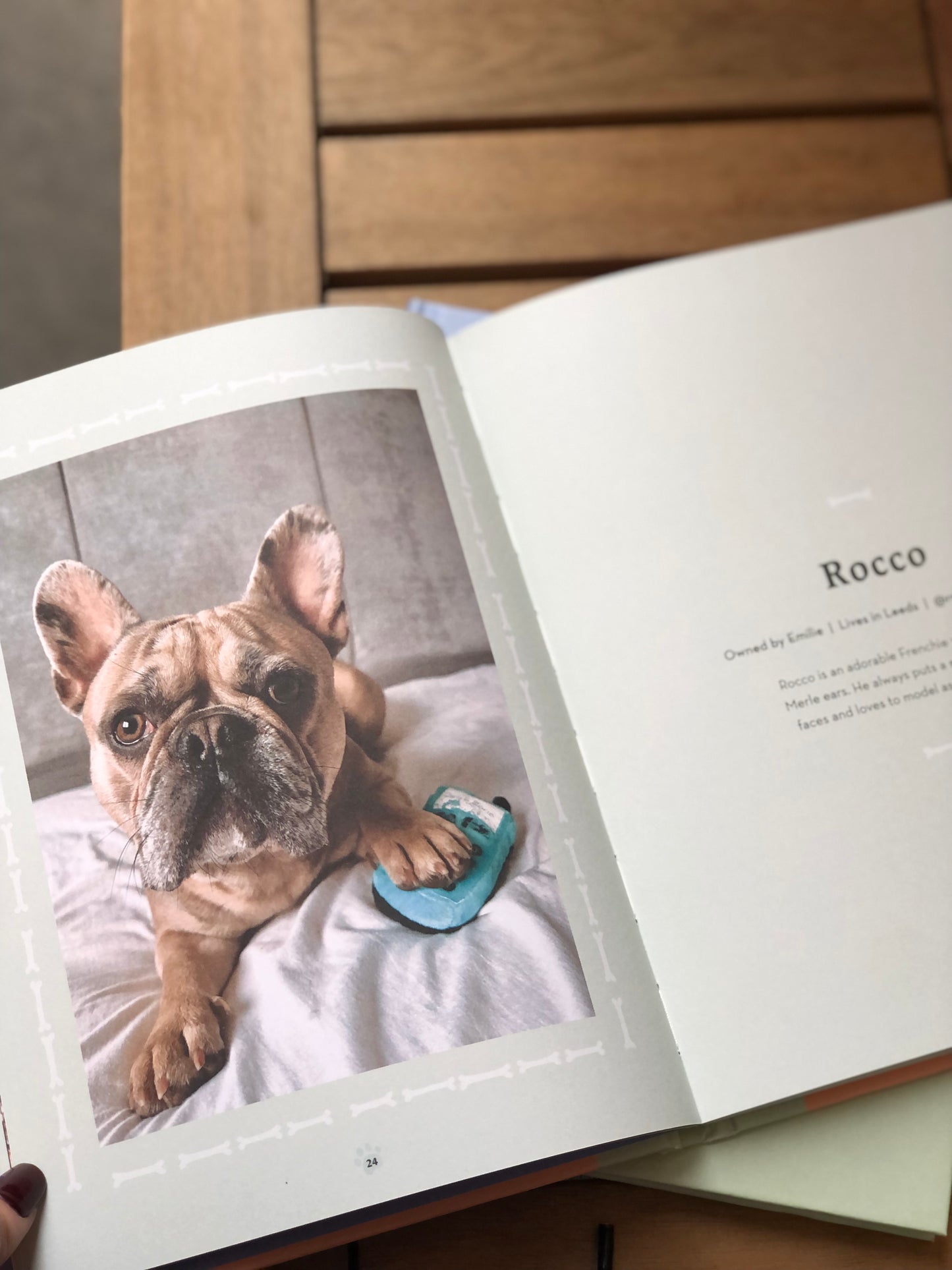 Book about French bulldogs