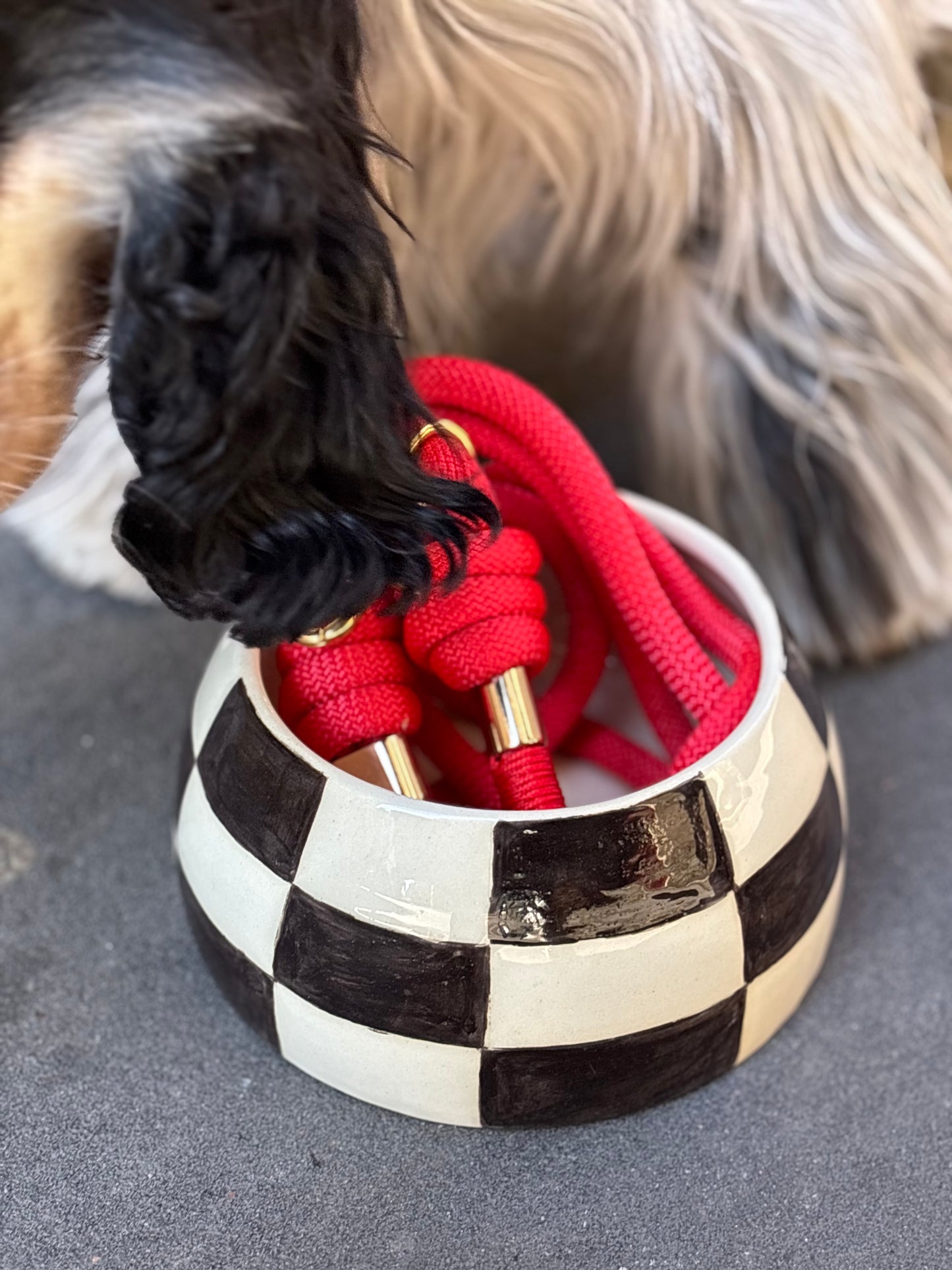 Laisse en corde Red Carpet