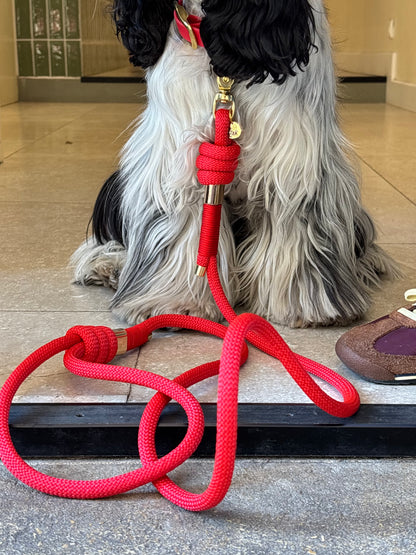 Laisse en corde Red Carpet