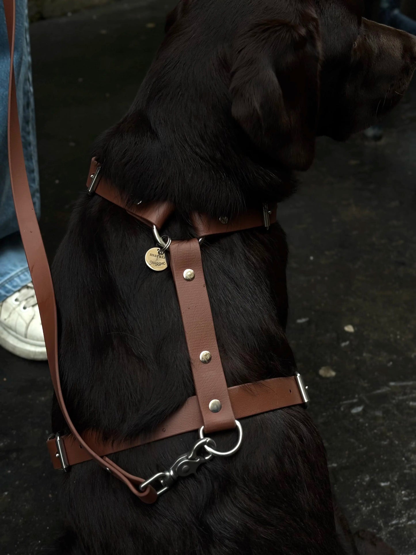 Harnais en biothane Maple