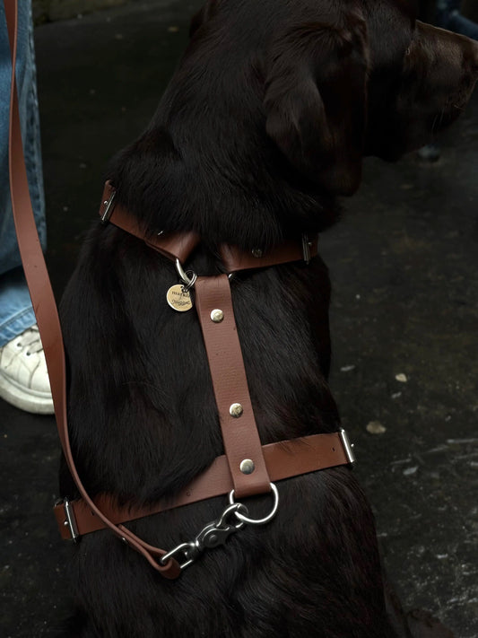 Maple biothane harness