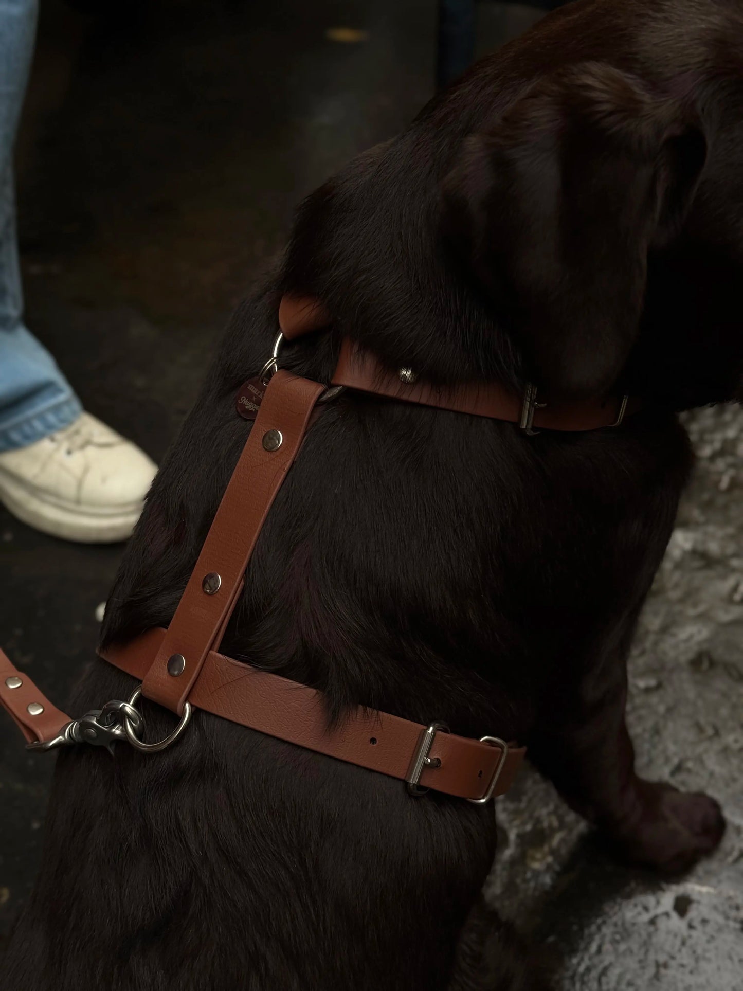 Harnais en biothane Maple