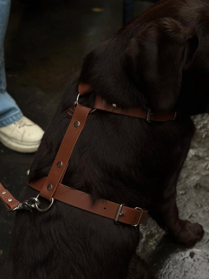 Harnais en biothane Maple