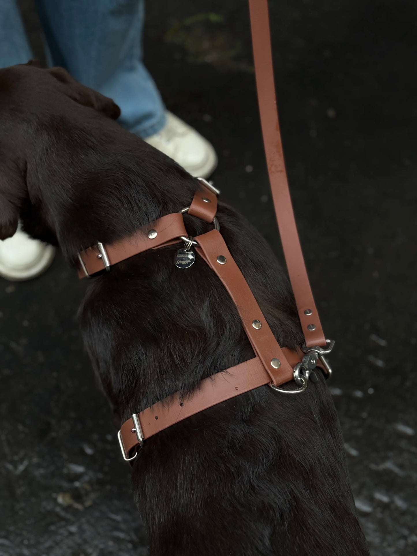 Harnais en biothane Maple