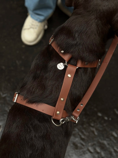 Harnais en biothane Maple