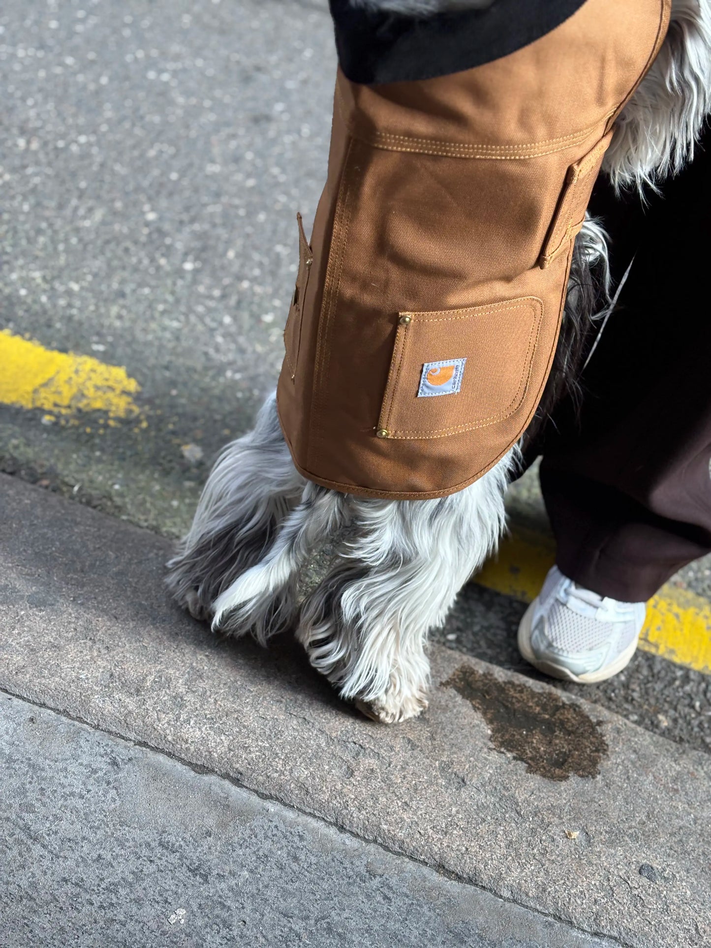 Manteau pour chien camel - Firm Duck Insulated Dog Chore Coat