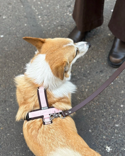 Harnais Rose et Chocolat