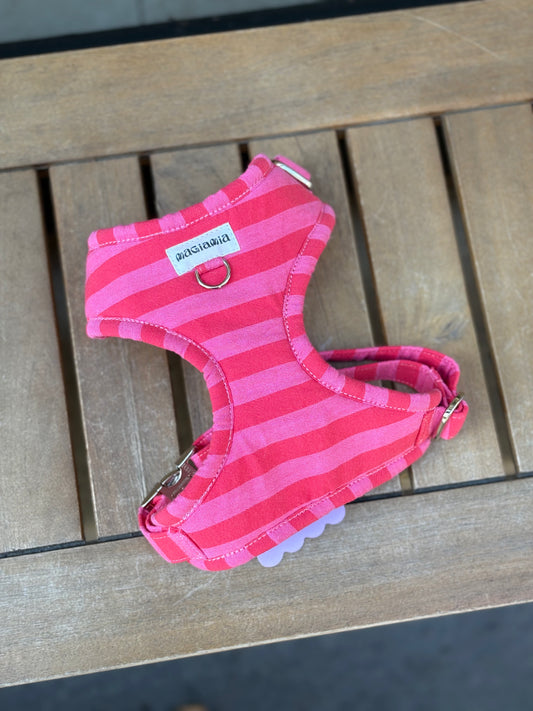 Adjustable striped harness