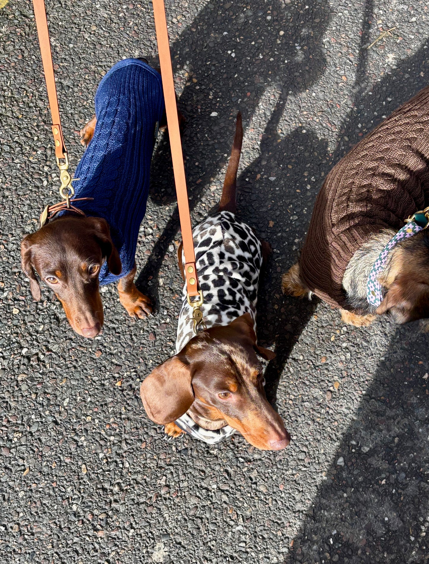 Merino wool sweater - brown