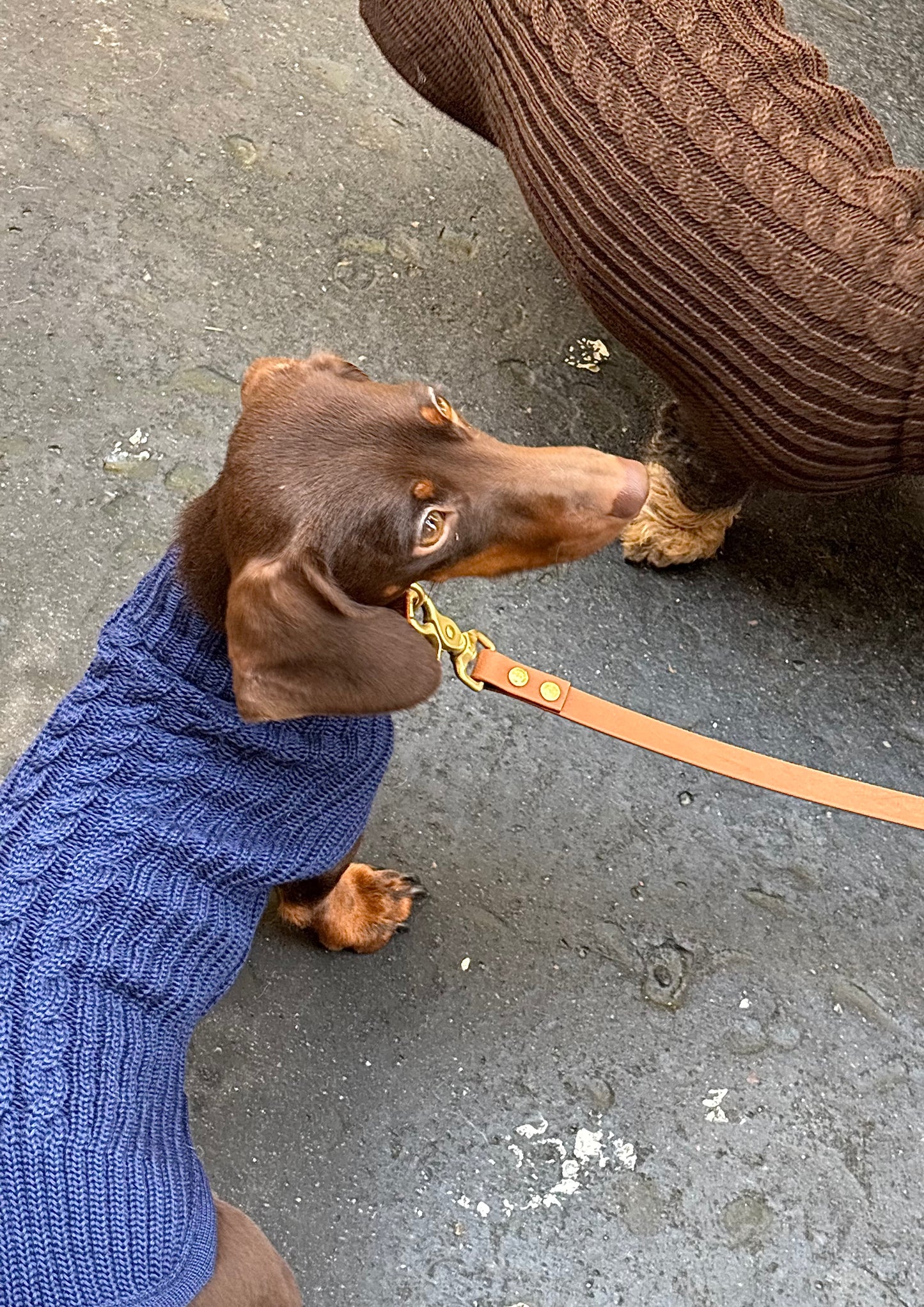 Merino wool sweater - navy blue