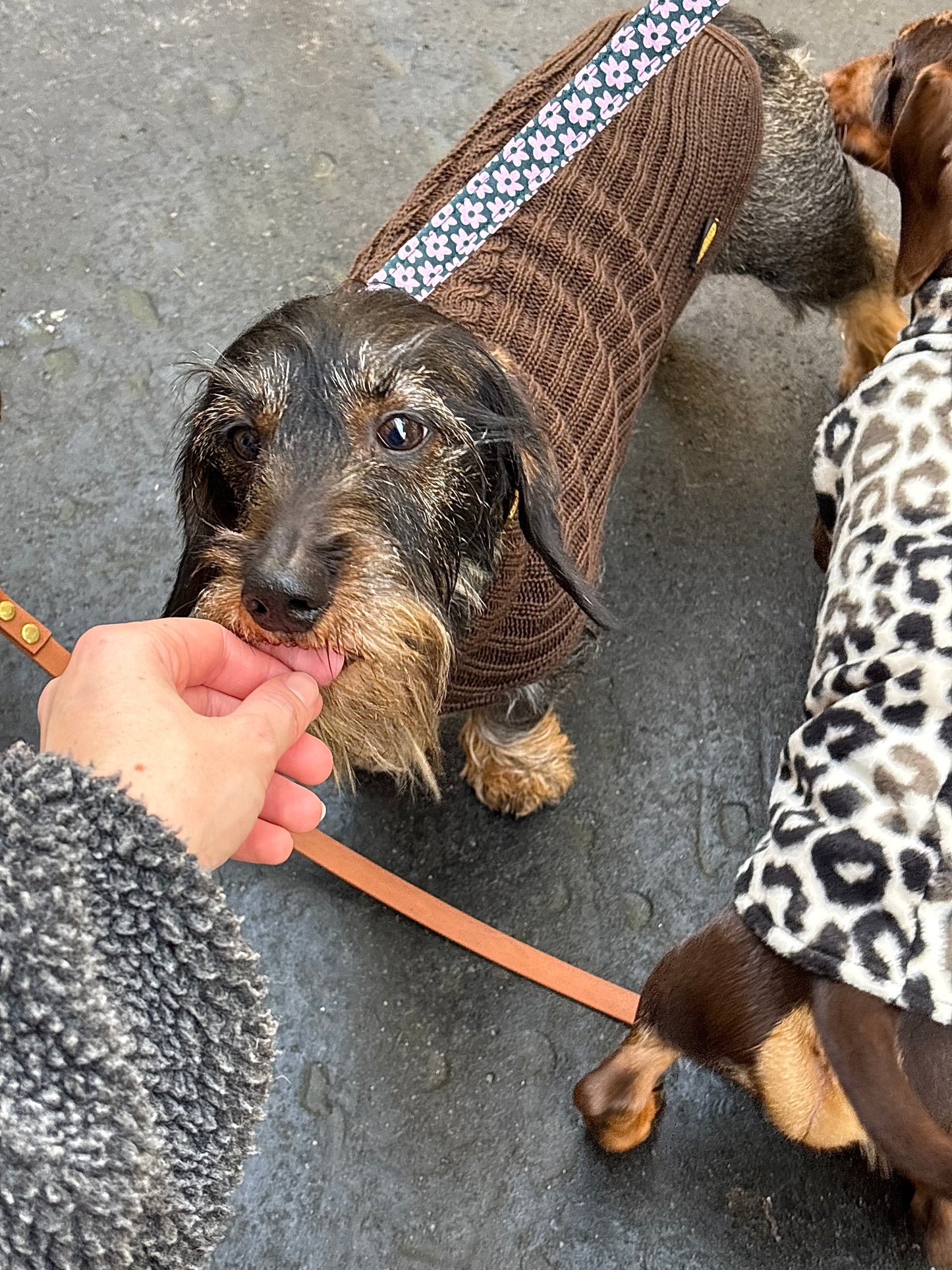 Merino wool sweater - brown