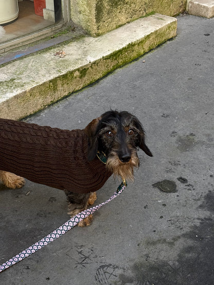Merino wool sweater - brown
