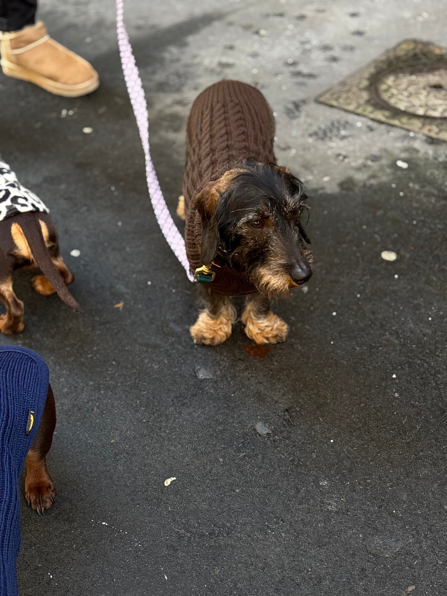 Merino wool sweater - brown