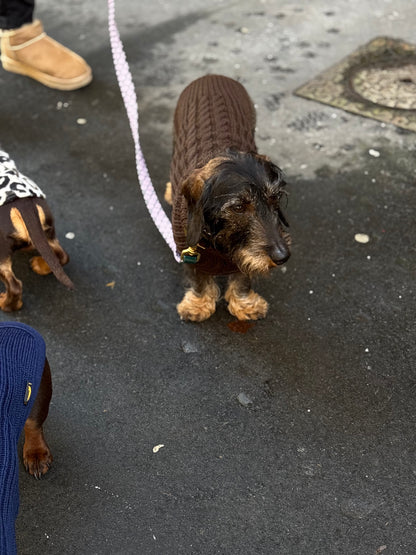 Merino wool sweater - brown