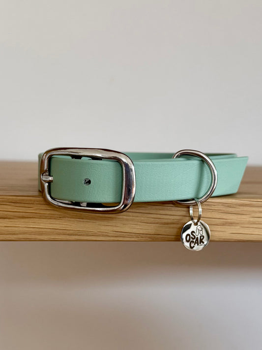 Collier biothane Sauge