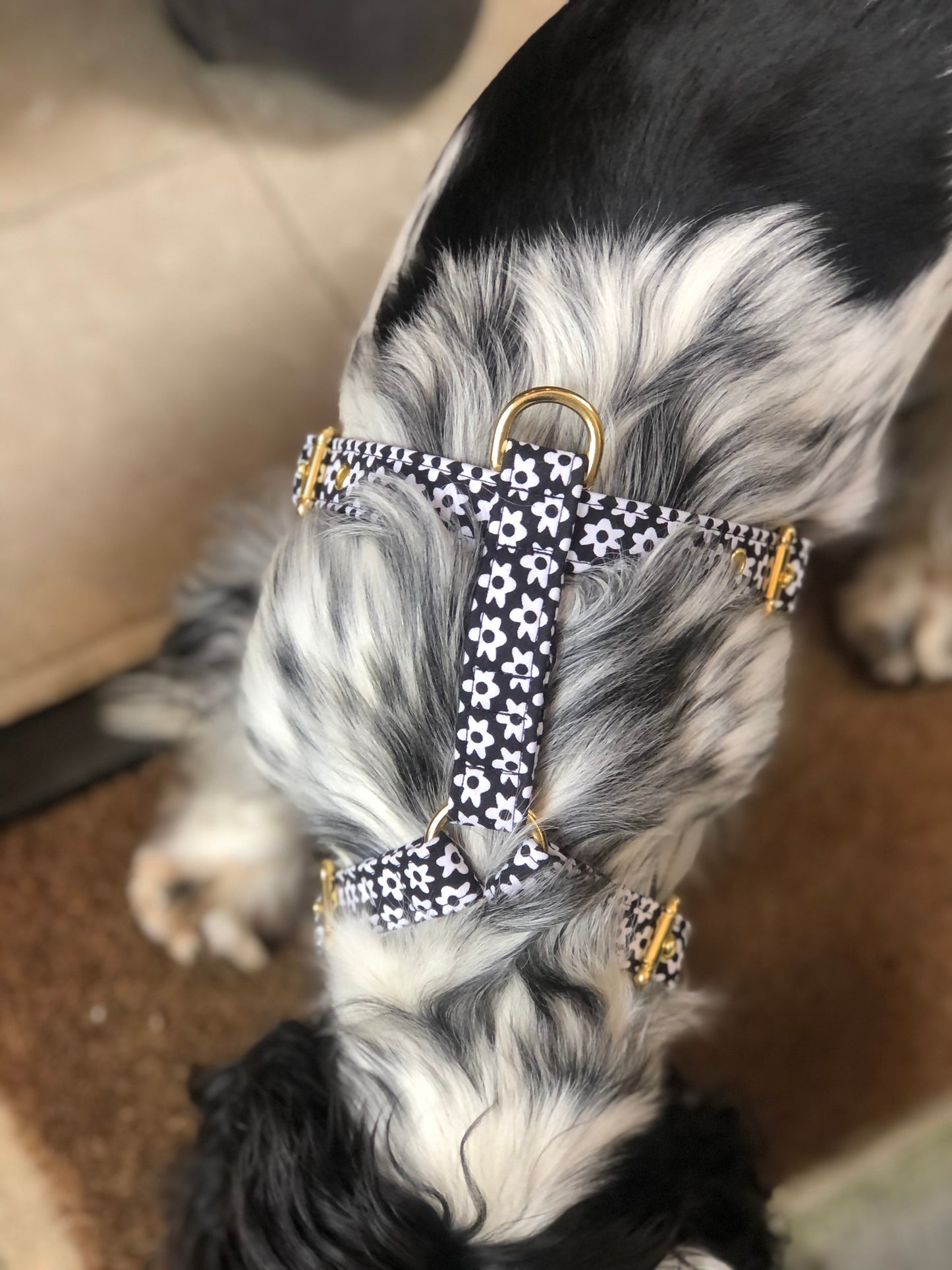 EXCLUSIVE - Daisy harness