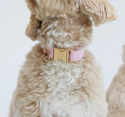 collier-chien-bordeaux-nugget-conceptstore