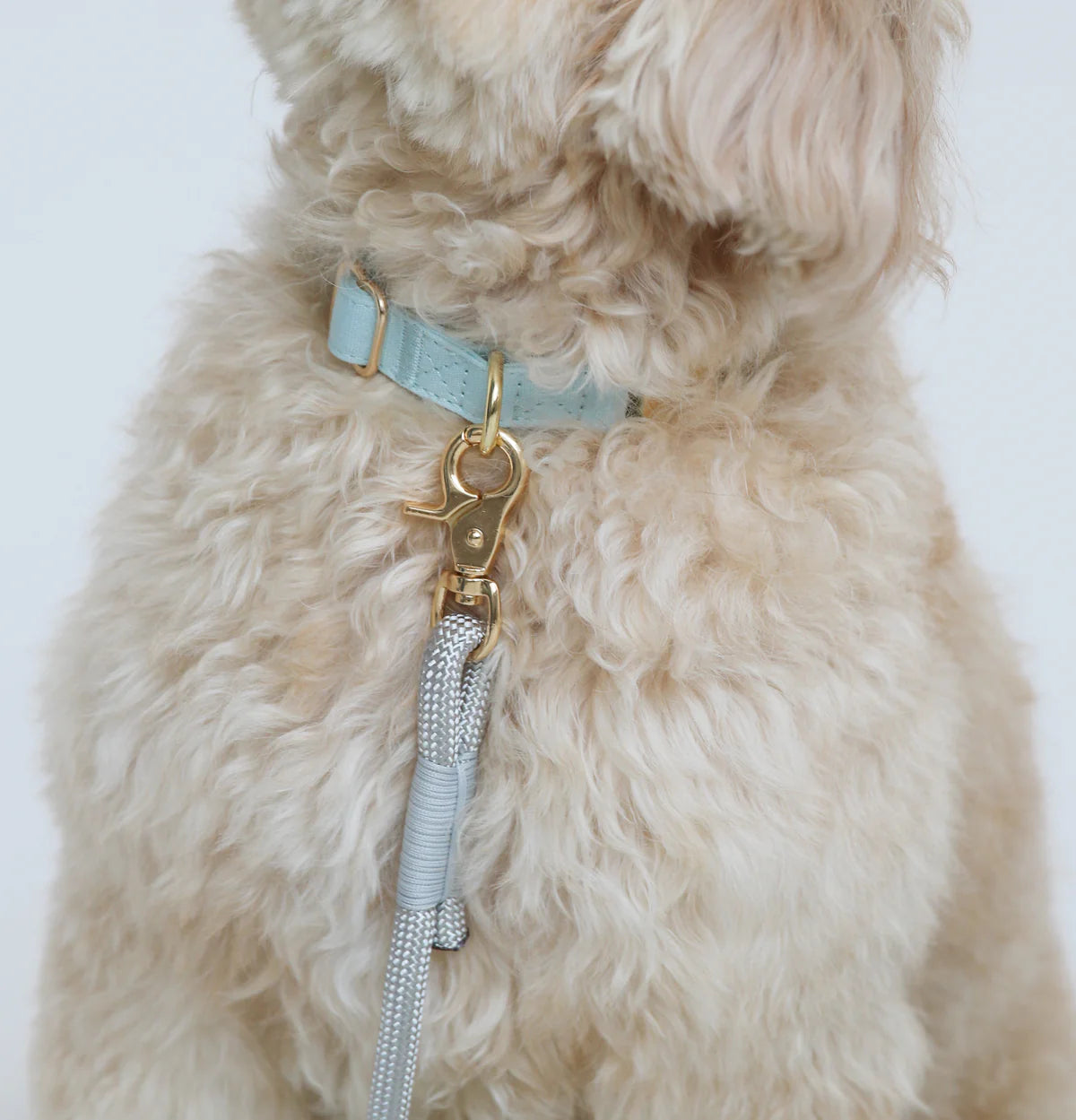 collier-chien-bordeaux-nugget-conceptstore