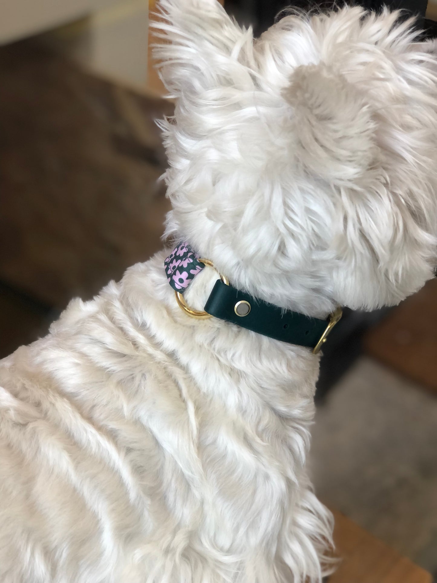 Green and pink daisy collar